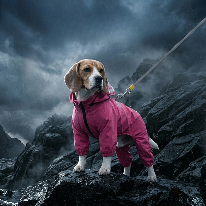 Dog Waterproof Full Body Raincoat Hooded Four-Leg Pet Rain Suit
