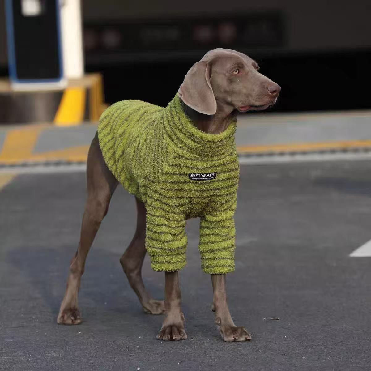 Dog Striped Turtleneck Sweater Polyester Pet Warm Shirt