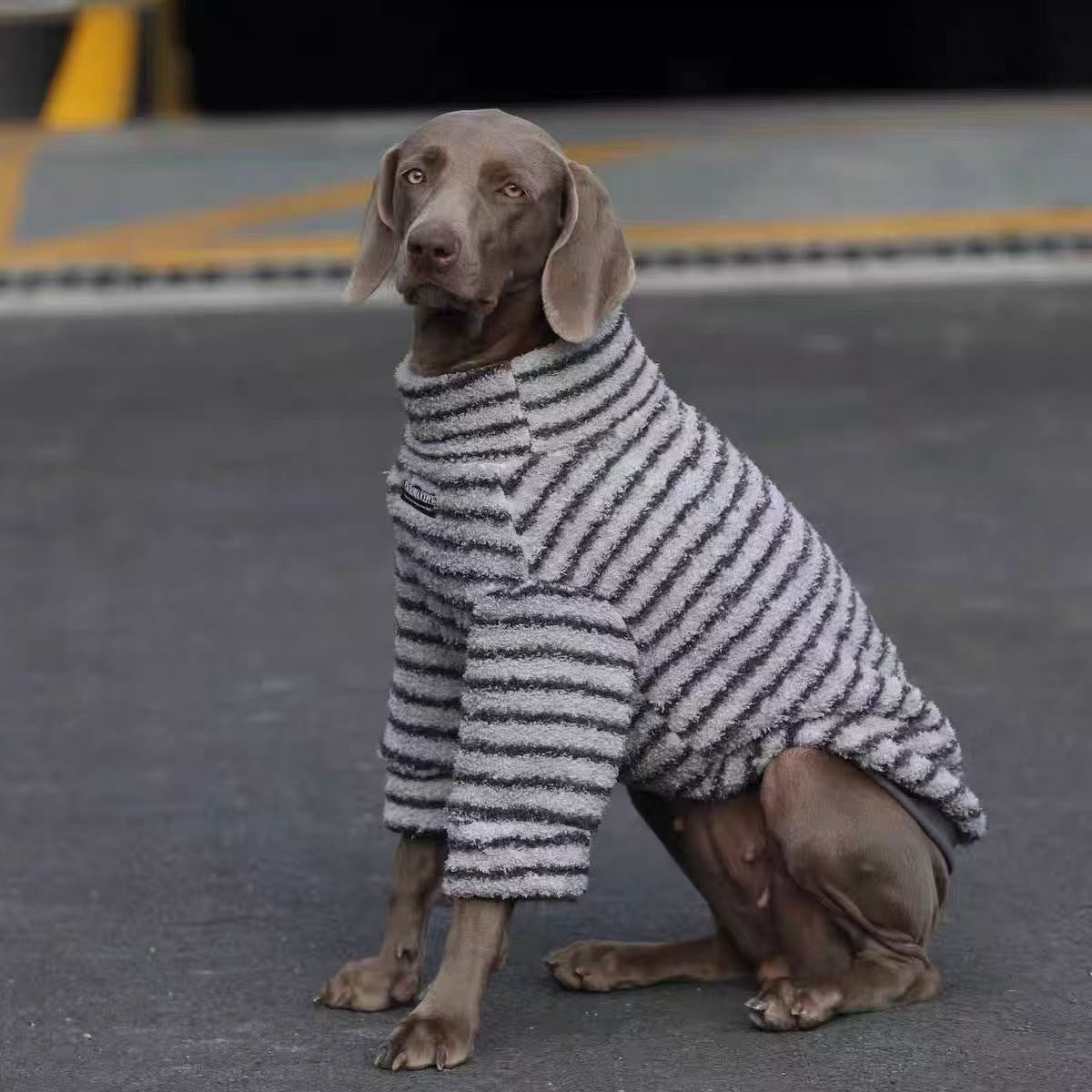 Dog Striped Turtleneck Sweater Polyester Pet Warm Shirt