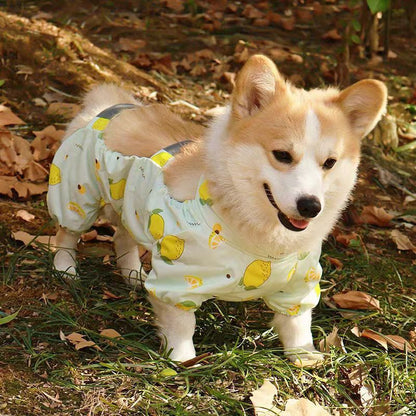 Dog Outdoor Belly Protection Anti-Dirt Suit Polyester Four-Leg Pet Outfit