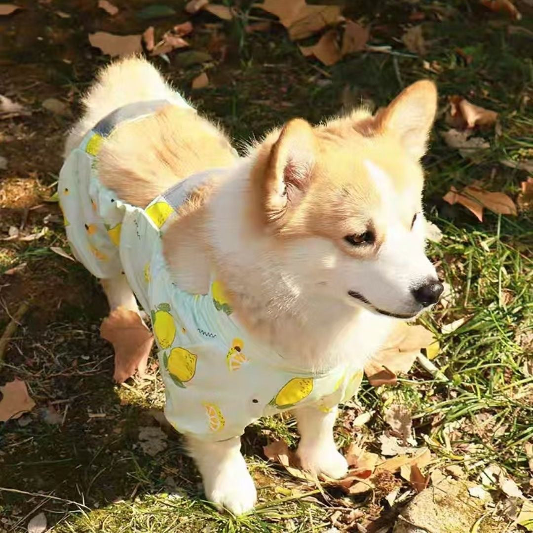 Dog Outdoor Belly Protection Anti-Dirt Suit Polyester Four-Leg Pet Outfit