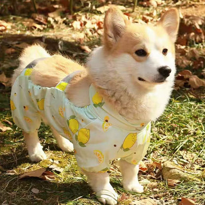 Dog Outdoor Belly Protection Anti-Dirt Suit Polyester Four-Leg Pet Outfit