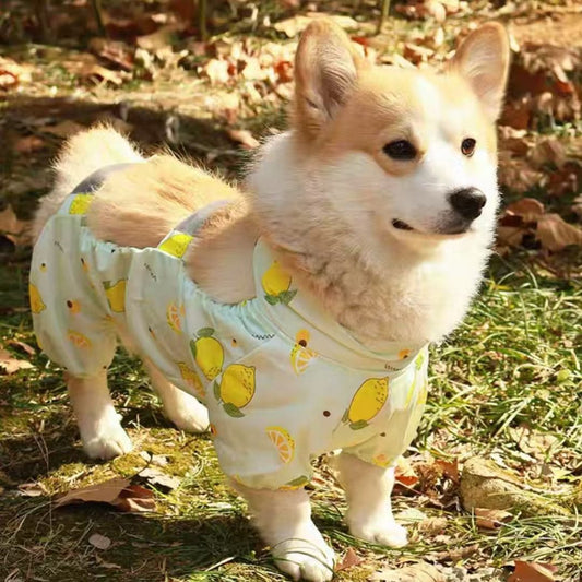Dog Outdoor Belly Protection Anti-Dirt Suit Polyester Four-Leg Pet Outfit