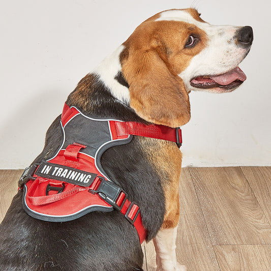 Dog Training Harness Reflective Vest Pet Harness
