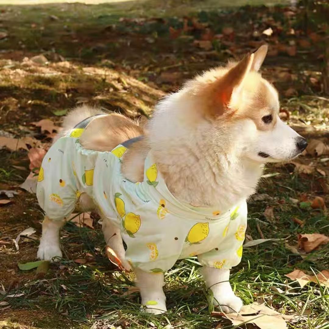 Dog Outdoor Belly Protection Anti-Dirt Suit Polyester Four-Leg Pet Outfit